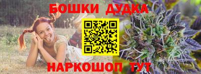 амф Бийск