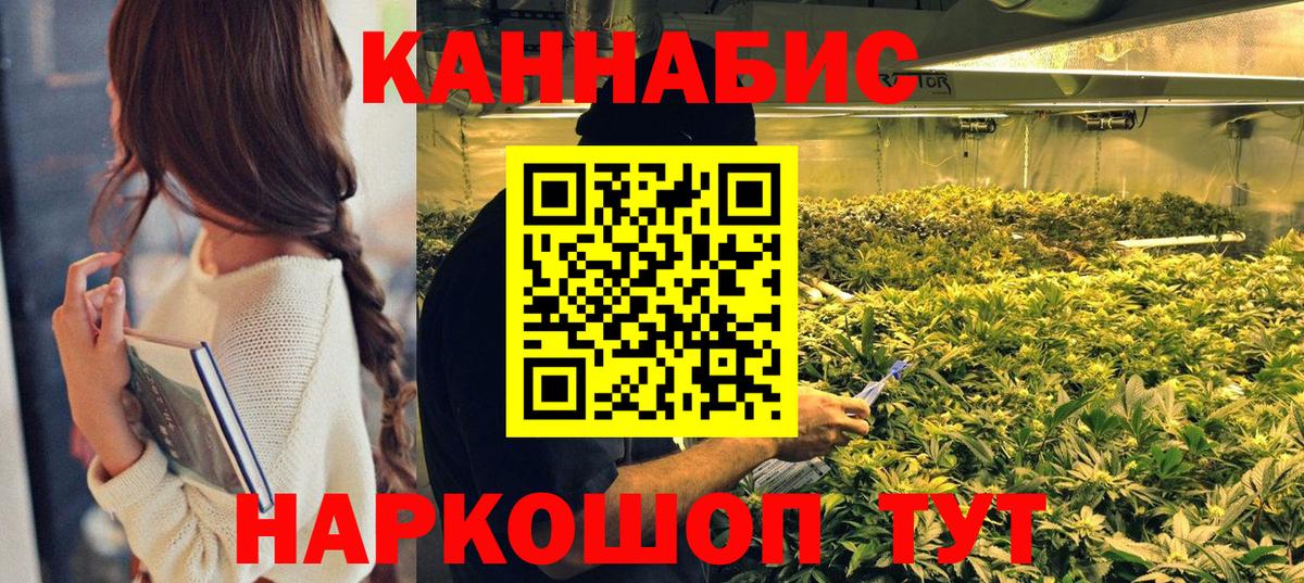 Бошки Шишки сатива Кимовск